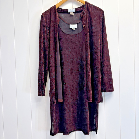 Vintage Hanky Panky Burnout Velvet Slip Dress & Jacket Set Size L Whimsigoth - Picture 1 of 15